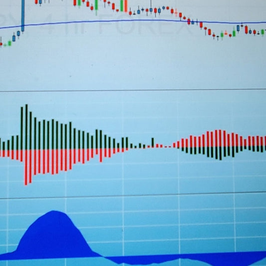 FOUNDATION OF FOREX LEVEL 2 TWO-MONTH SUBSCRIPTION $349.00 5%OFF